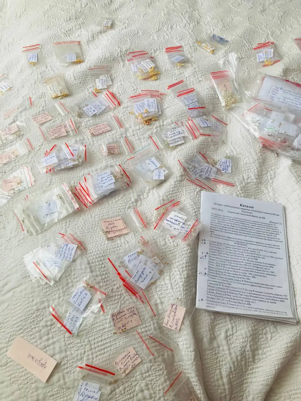 Продажа семян овощей и рассады - Сад и огород (Хобби и отдых) в Пивовариха