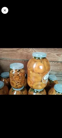 Продажа солёных рыжиков в Иркутске - Сбор грибов в Иркутск