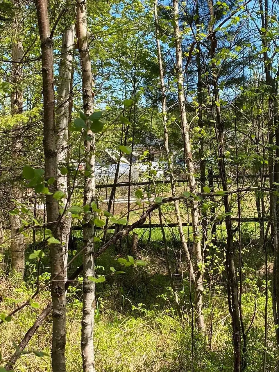 Продажа земельного участка в п. Мурино, Иркутская область - Земельные участки (Недвижимость) в Мурино