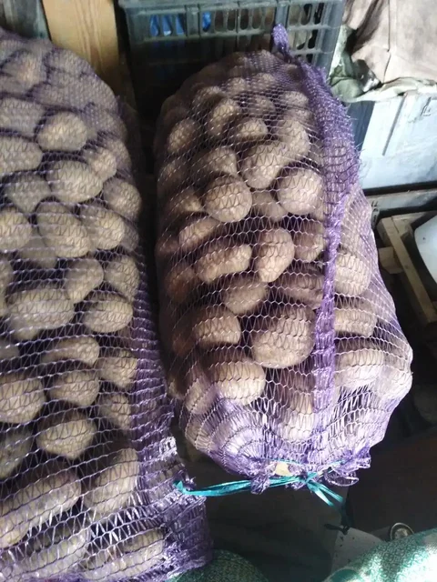 Продажа домашних заготовок и комнатных растений - Продукты питания/Растения в Иркутск