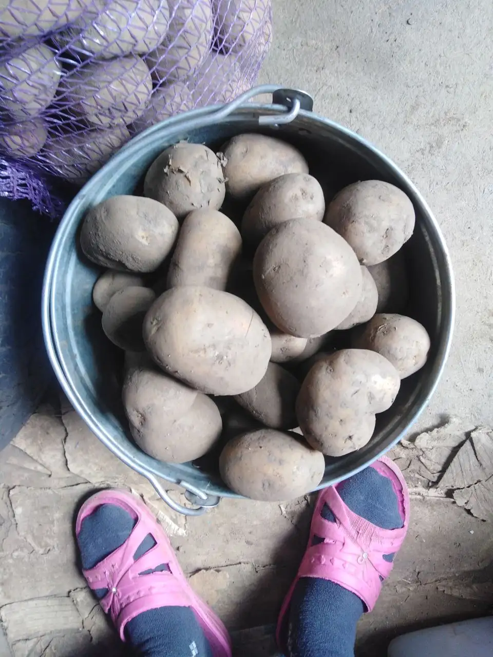 Продажа домашних заготовок и комнатных растений - Продукты питания (Барахолка) в Иркутск