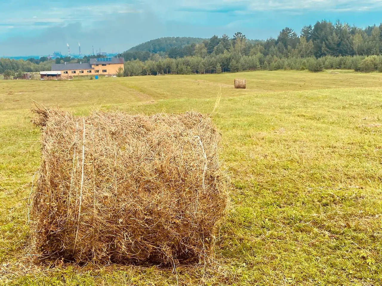Продажа сена в тюках - Барахолка в Иркутск