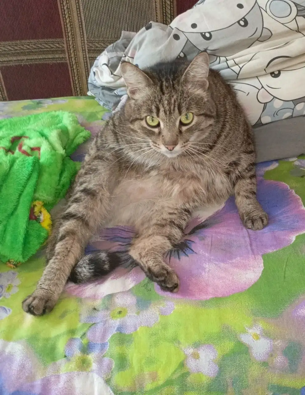 Отдам в добрые руки - Барахолка в Иркутск