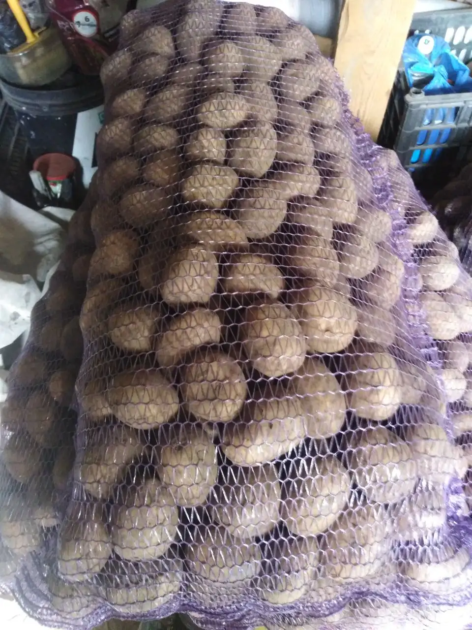 Продажа картофеля, саженцев и домашних заготовок - Сад и огород (Барахолка) в Иркутск