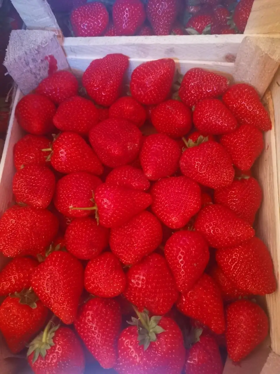 Свежая ягода из Киргизии - Ягоды (Продукты) в Иркутск