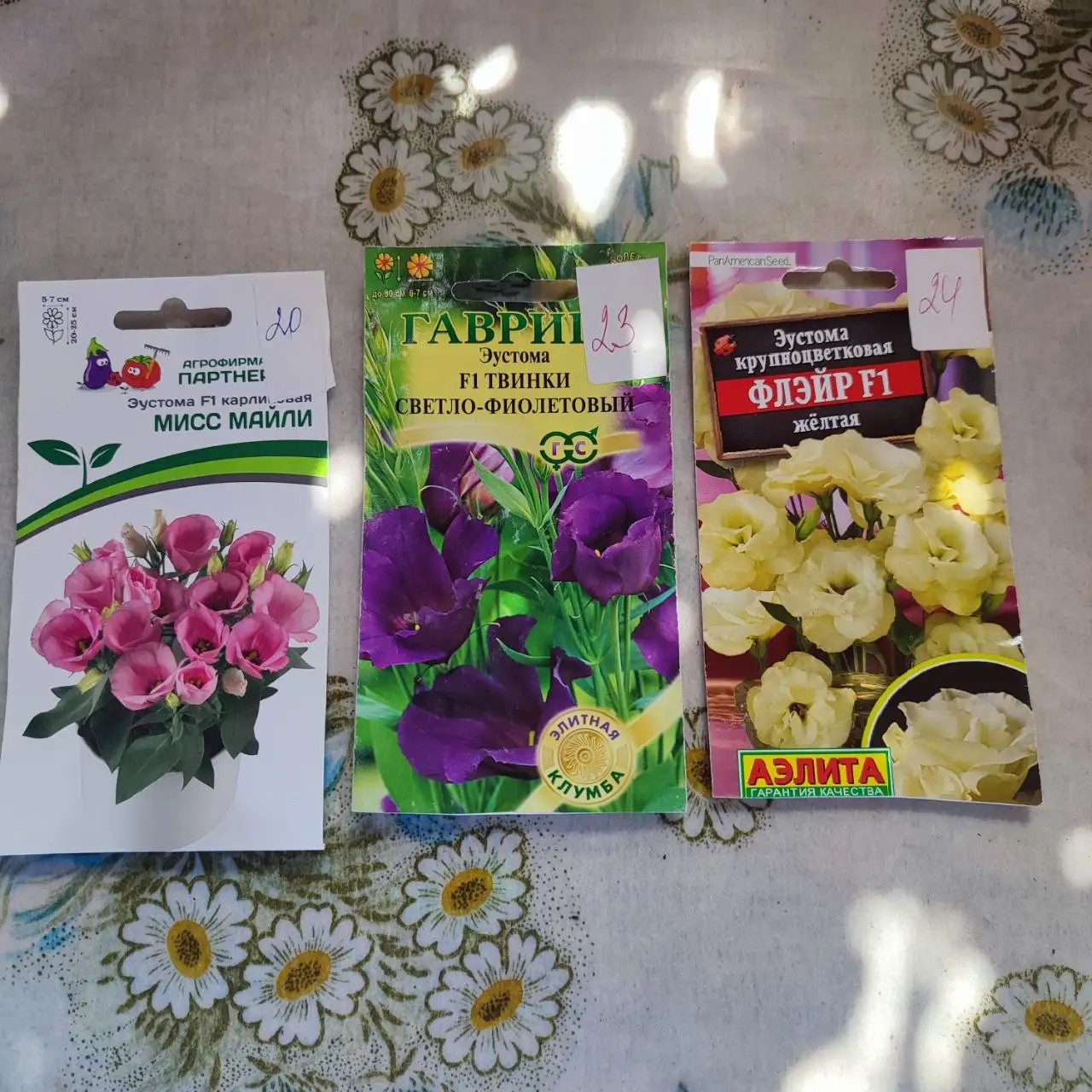 Продам эустому - Цветы (Растения) в Иркутск
