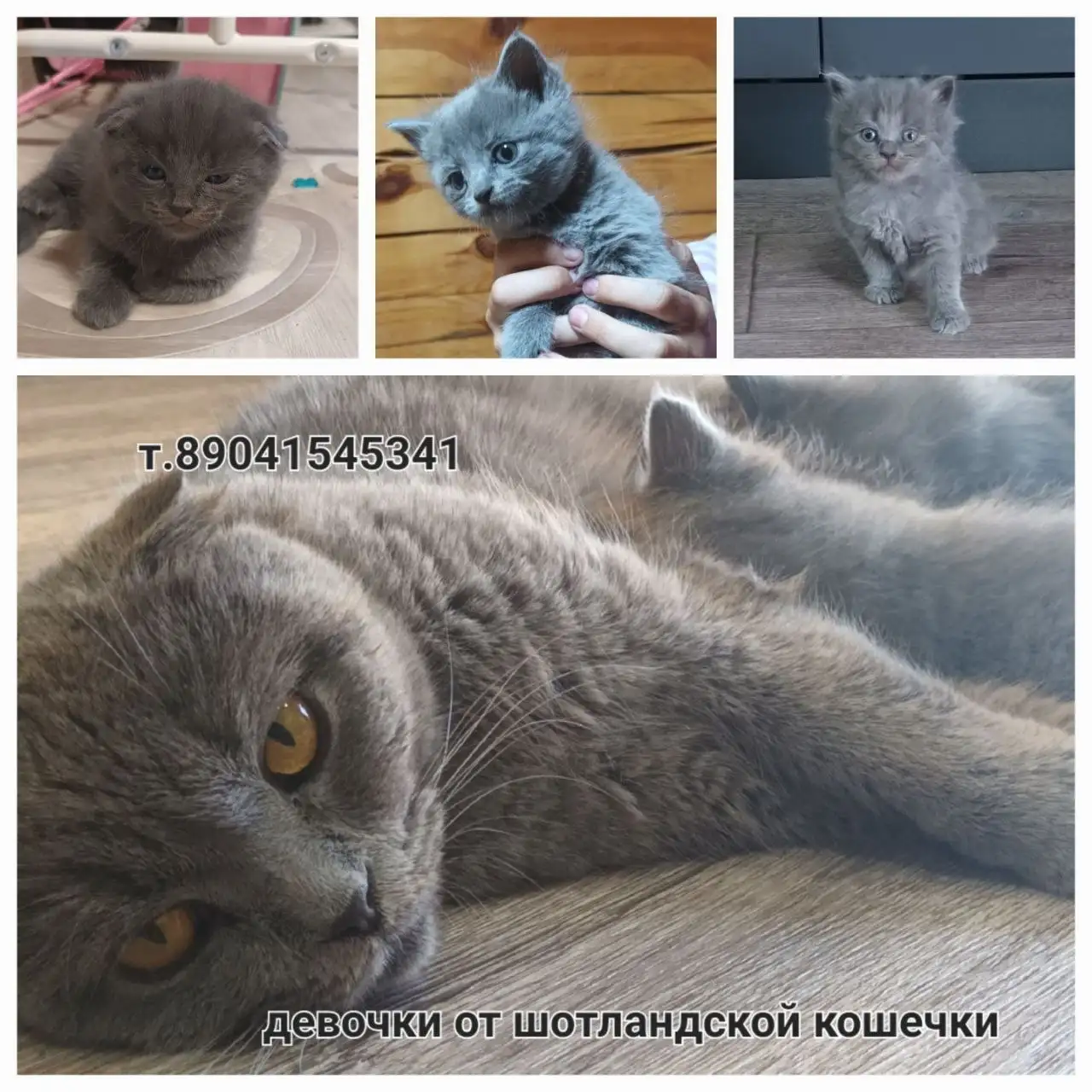 Размещение для бизнеса в Иркутске - Барахолка в Иркутск