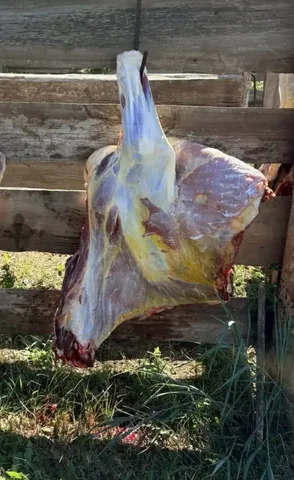 Продам говядину (телочка) передок - Продукты питания в Иркутск
