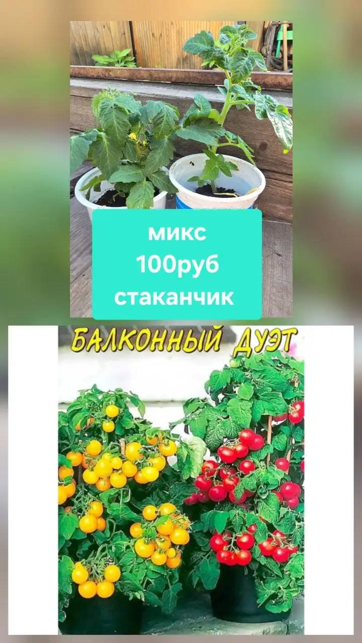 Предлагаю услугу доставки в районы СНТ Лазурит и Ново-Ленино - Доставка (Услуги) в Иркутск