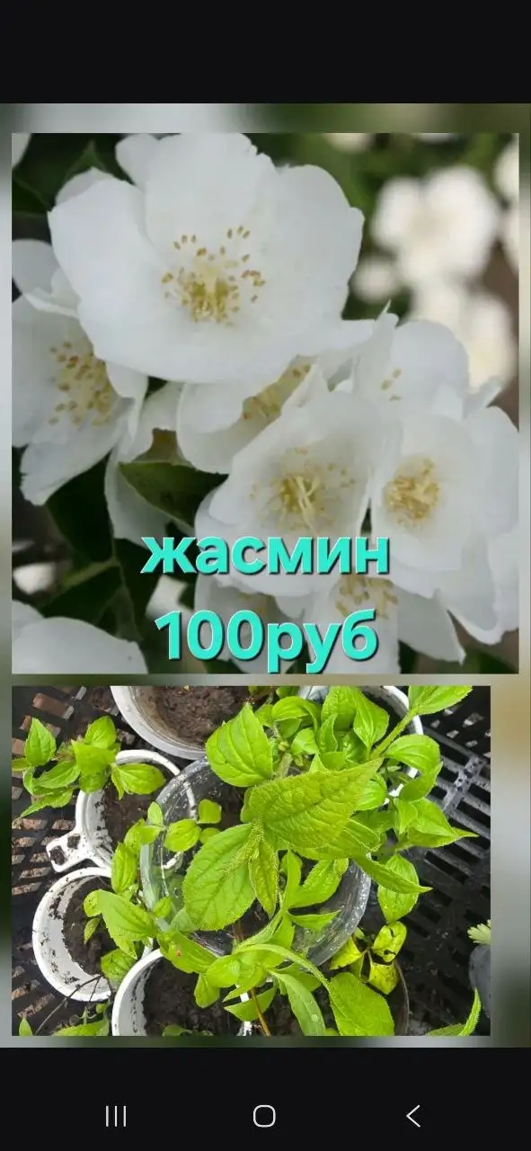 Предлагаю услугу доставки в районы СНТ Лазурит и Ново-Ленино - Доставка (Услуги) в Иркутск