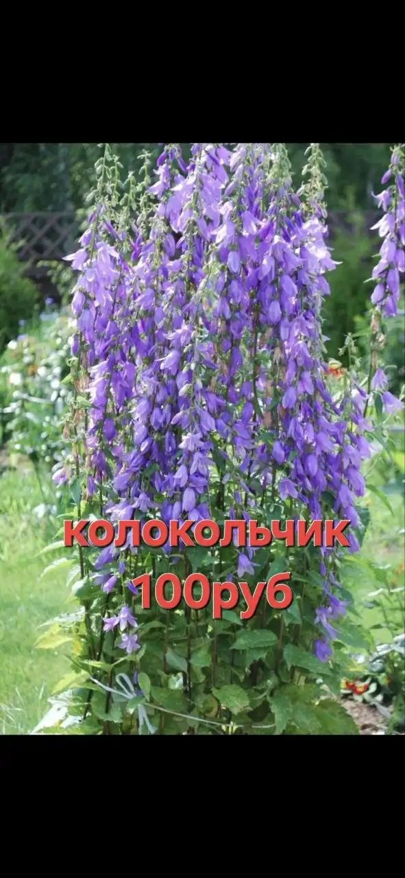 Предлагаю услугу доставки в районы СНТ Лазурит и Ново-Ленино - Доставка (Услуги) в Иркутск
