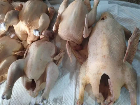 Продажа мяса птицы - частное объявление в Орск-Новотроицк