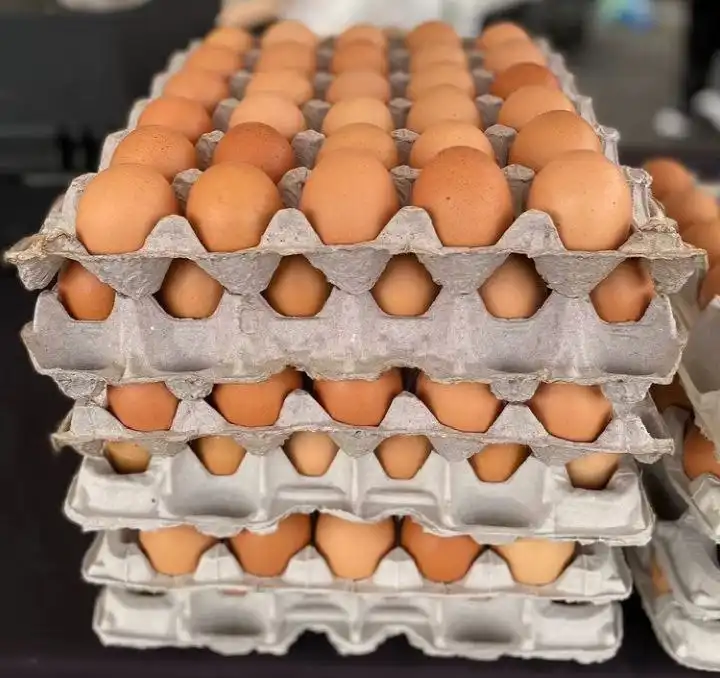 Домашнее яйцо