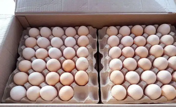 Продажа домашних яиц