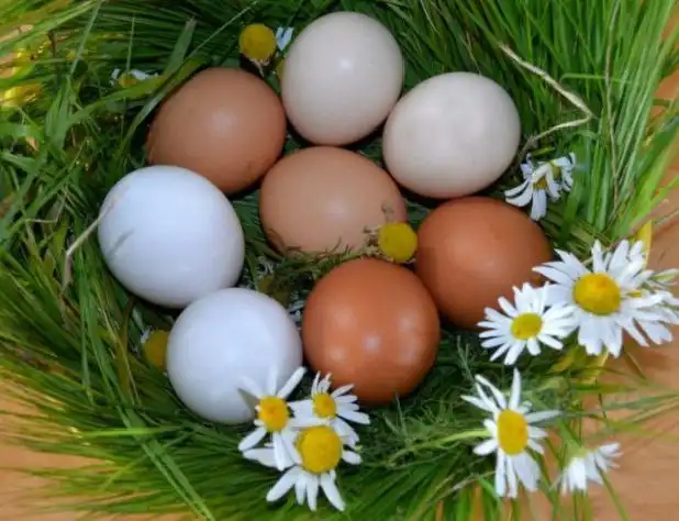 Продажа домашних крупных яиц