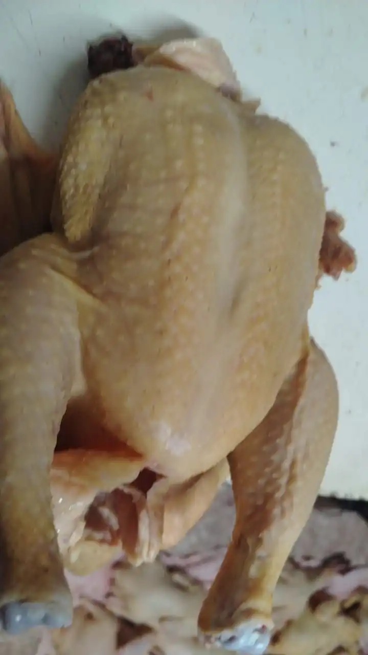 Продажа кур молодок Родонит и свежий забой птицы