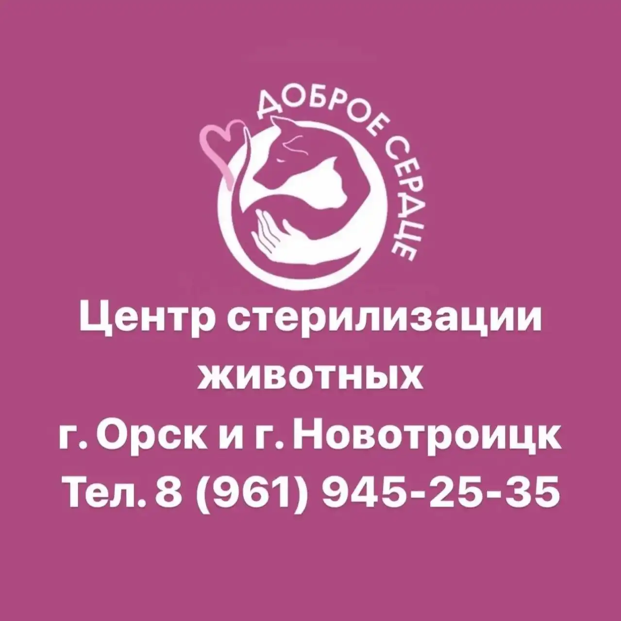 Центр стерилизации животных в Орске и Новотроицке
