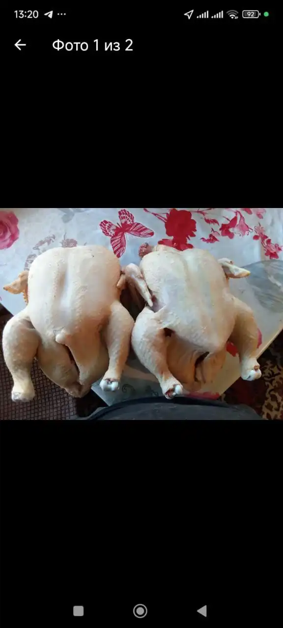 Продажа мяса птицы