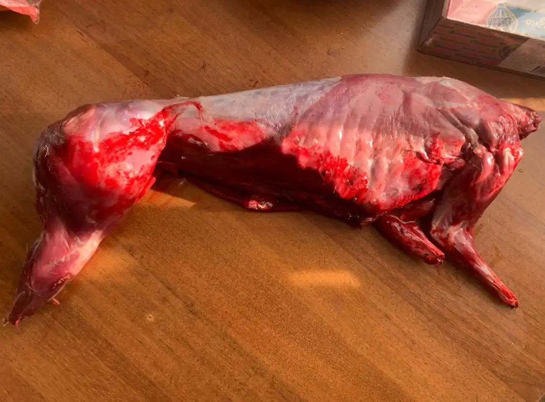 Тушка зайца для новогоднего стола