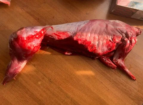 Тушка зайца для новогоднего стола - Продукты питания в Новотроицк