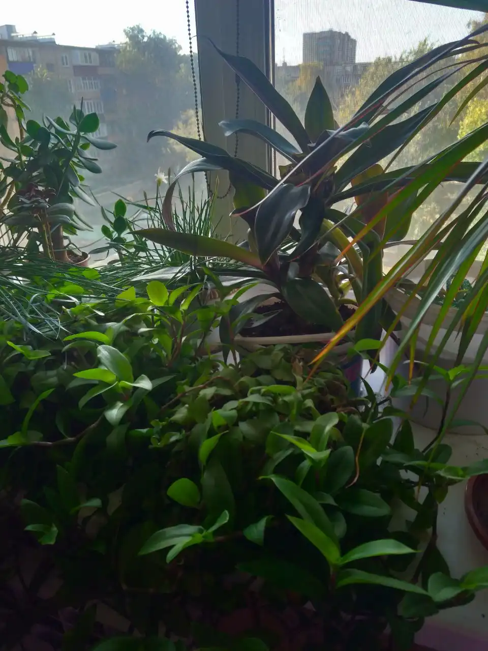 Продам в Орске