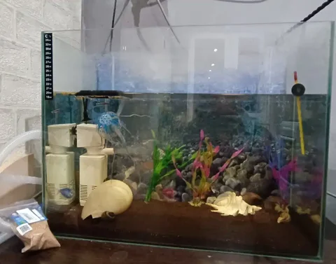 Предложение товара в Орске-Новотроицке - частное объявление в Орск-Новотроицк