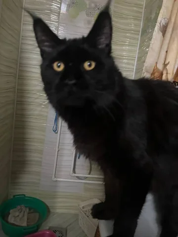 Различные предложения в Орске и Новотроицке - частное объявление в Орск-Новотроицк