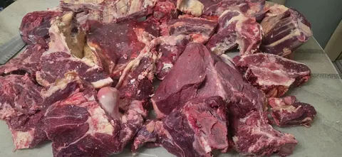Продажа конины и говядины кучками - Стройматериалы в Орск