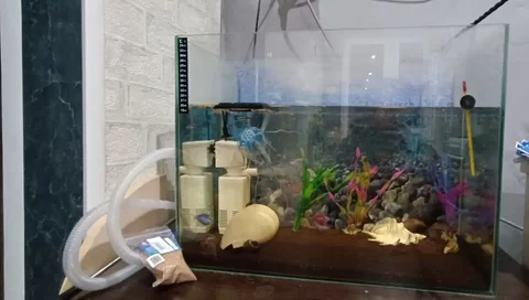 Аквариум 50 литров с комплектом аксессуаров - Картины в Орск