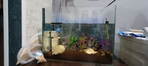 Орск | ОТДАМ ДАРОМ, УСЛУГИ, КУПЛЮ, ПРОДАМ - Кулинарные услуги в Орск