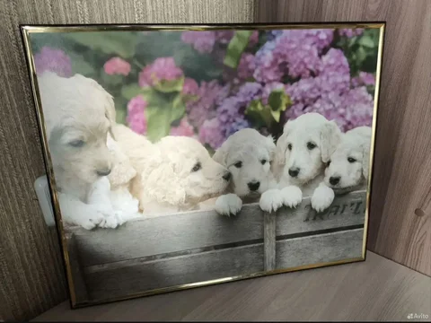 Картина для продажи в Орске-Новотроицке - Хобби и отдых в Орск-Новотроицк