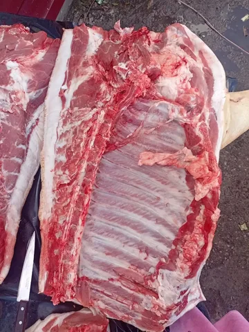 Свежее мясо свинины с ляжками - Товары для животных в Орск-Новотроицк