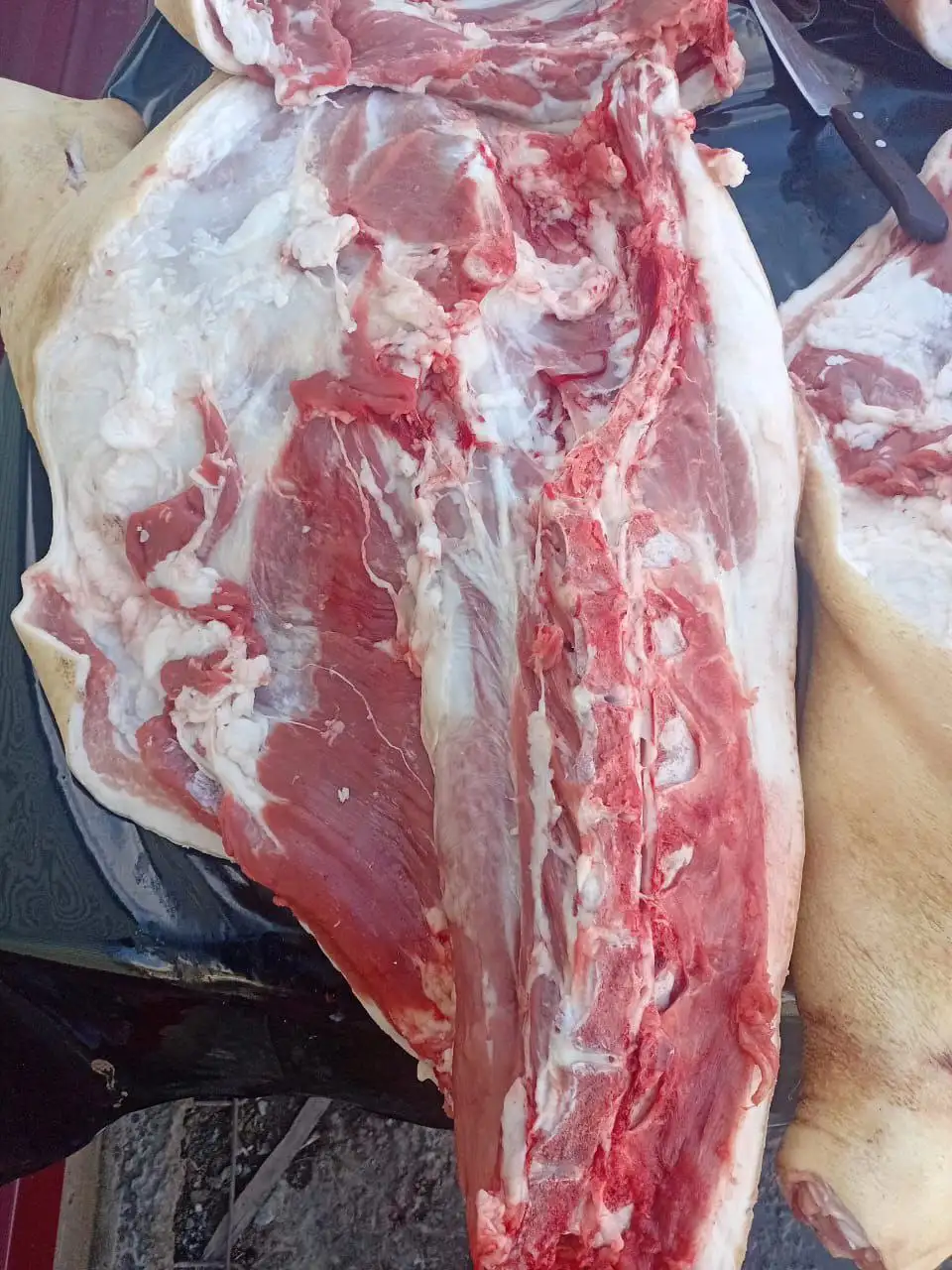 Продам свежее мясо свинины - Продукты питания (Барахолка) в Орск