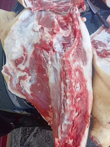 Продам свежее мясо свинины - Барахолка в Орск