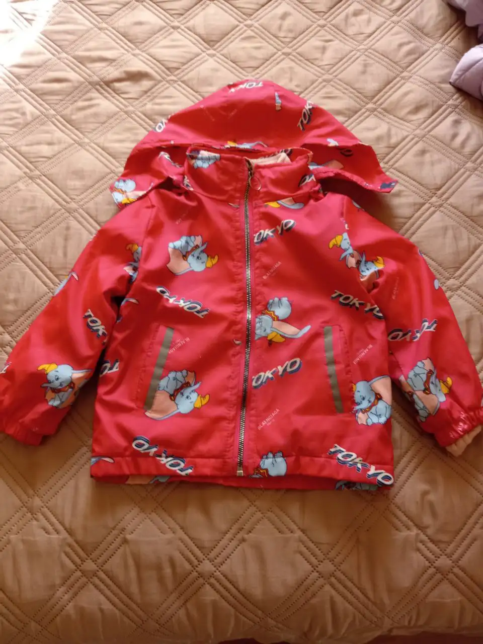 Ветровка с отстегивающимся подкладом размер 110 - Верхняя одежда (Одежда) в Новотроицк