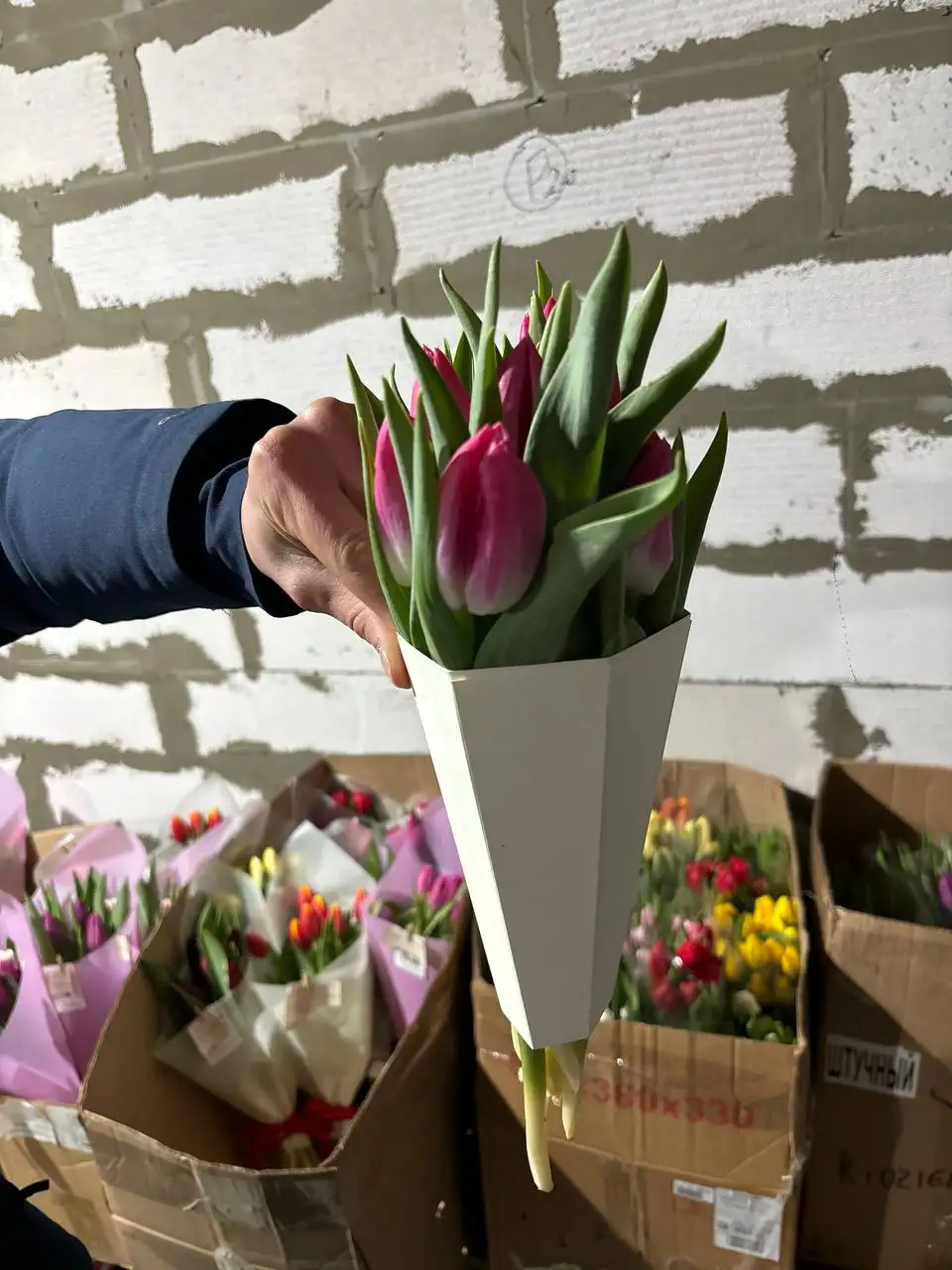 Продам тюльпаны с бесплатной доставкой - Цветы/растения (Хобби и отдых) в Орск