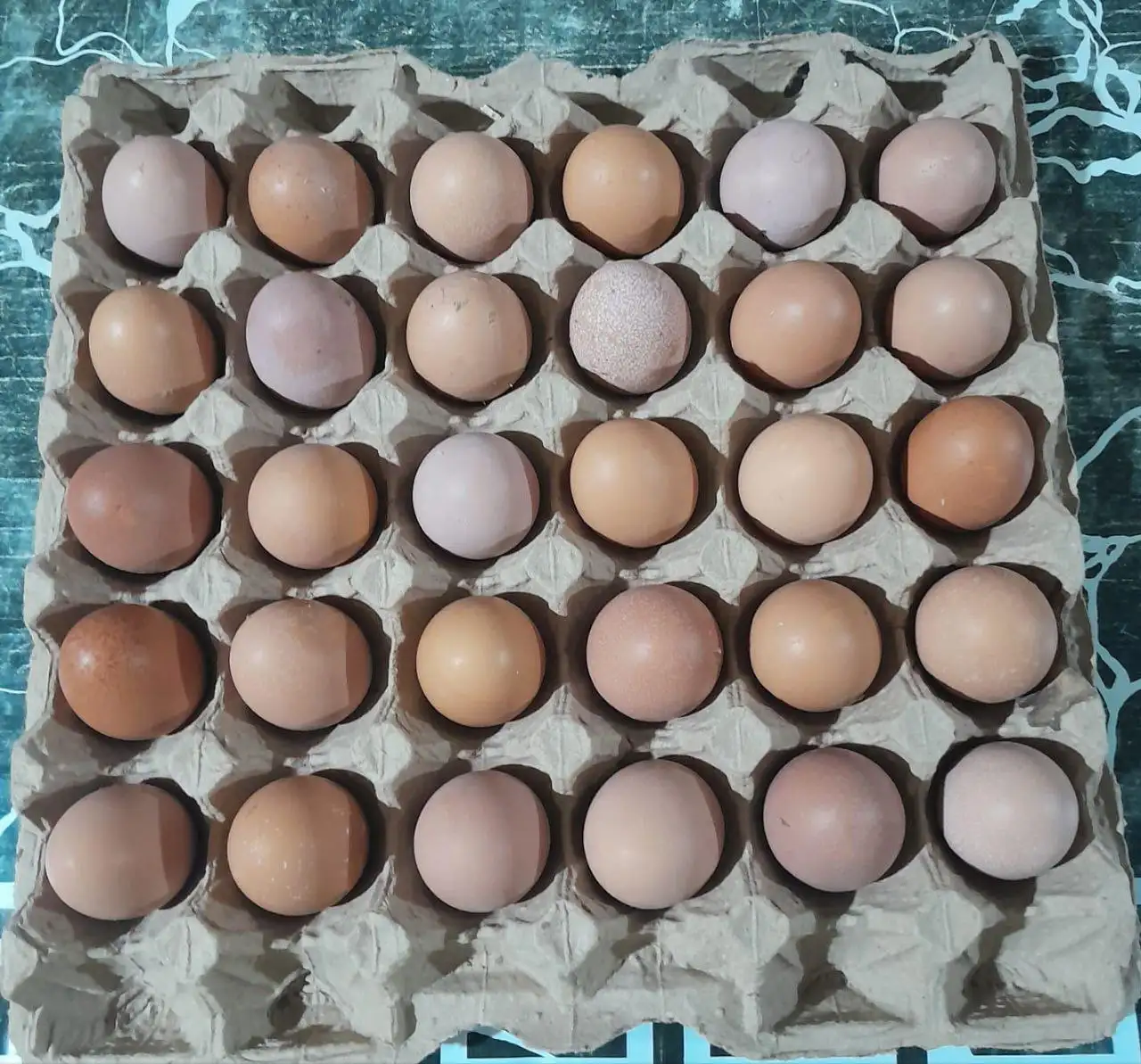 Продажа домашних яиц - Продукты питания (Барахолка) в Орск