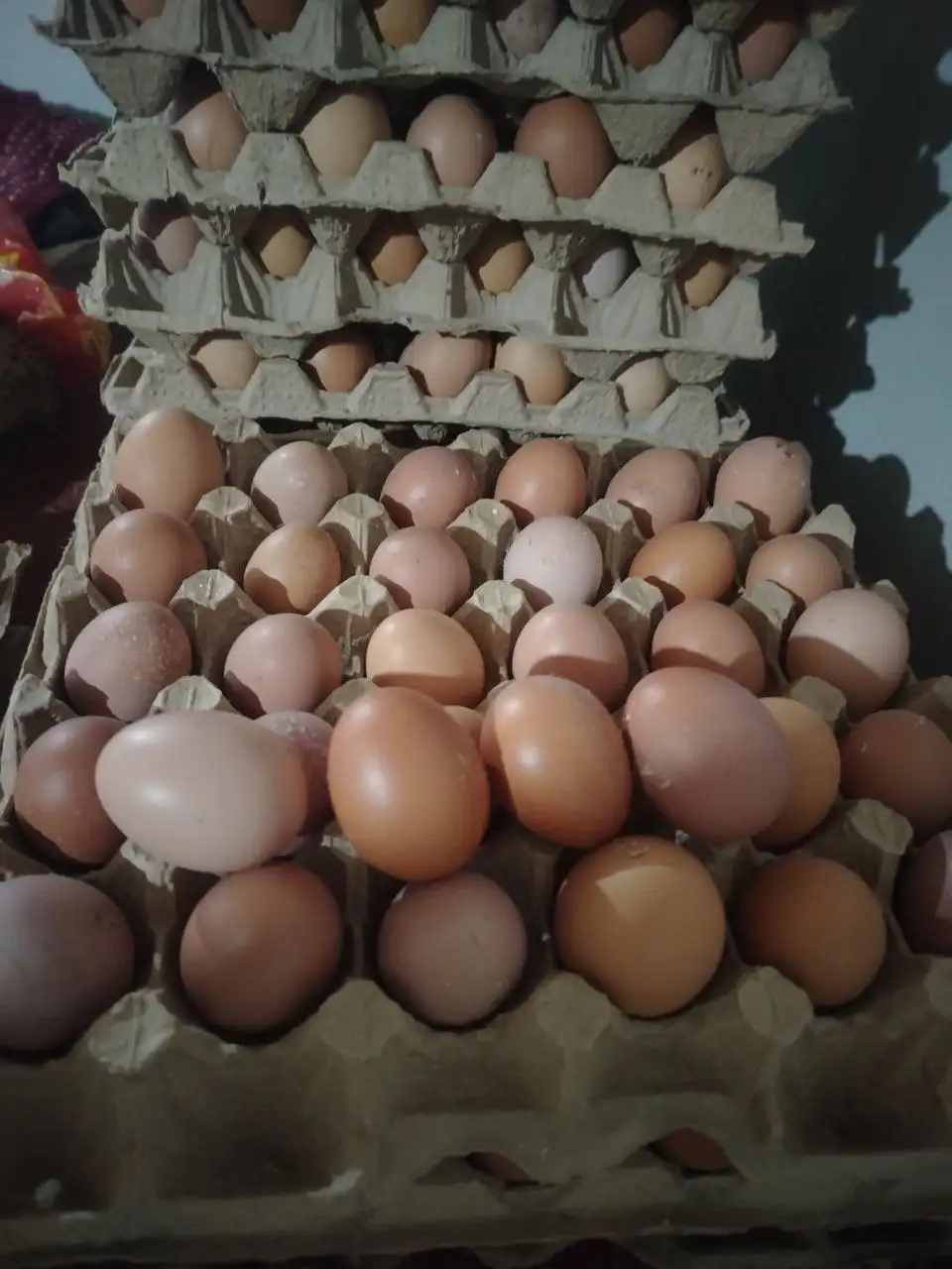 Домашнее мелкое яйцо - Барахолка в Орск