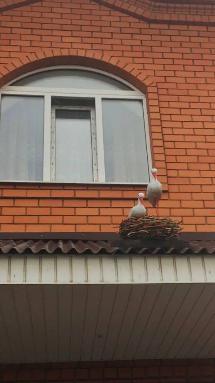 Кашпо из экоротанга ручной работы - Рукоделие (Хобби и отдых) в Орск