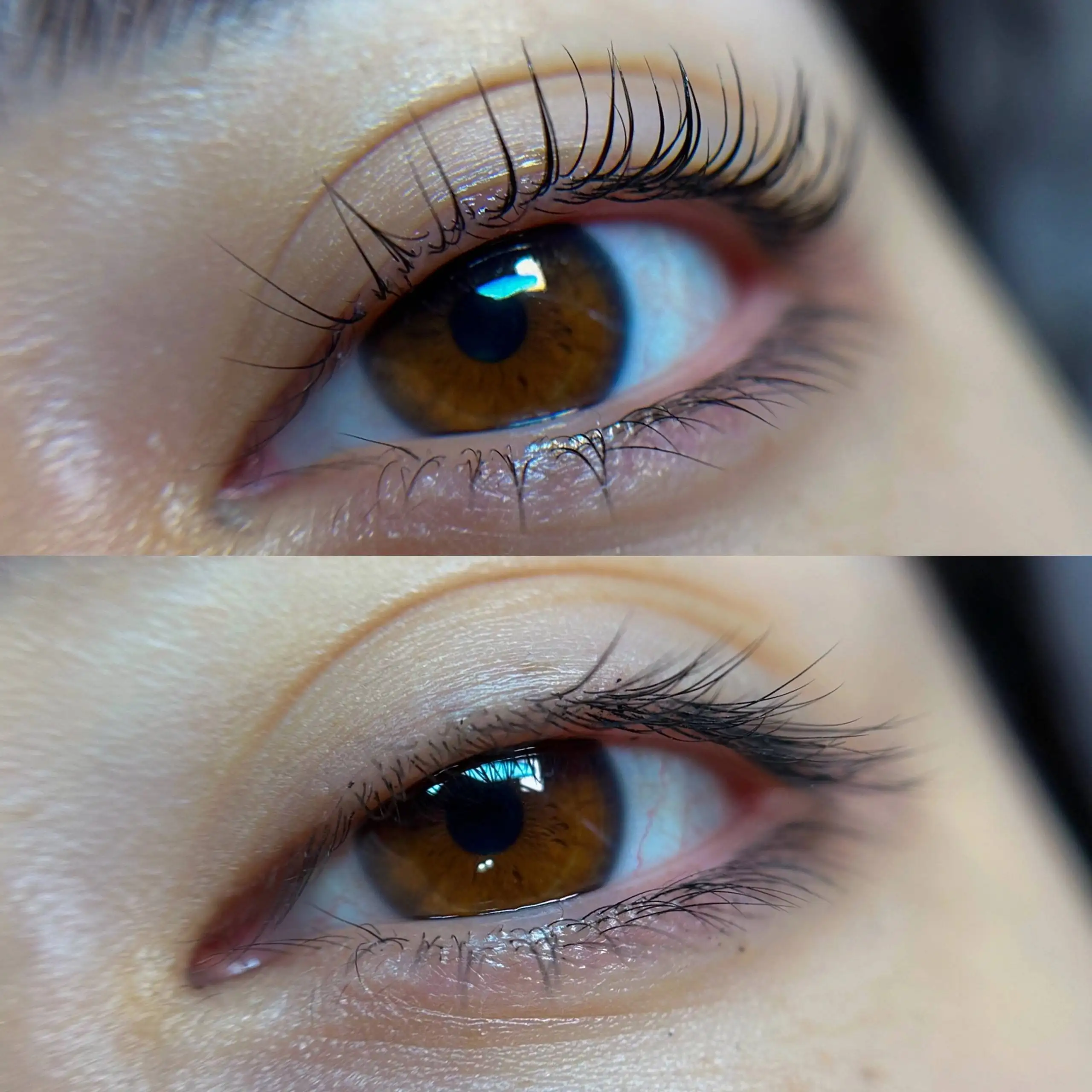 Комплекс ламинирование ресниц и окрашивание - Красота (Услуги) в Орск-Новотроицк