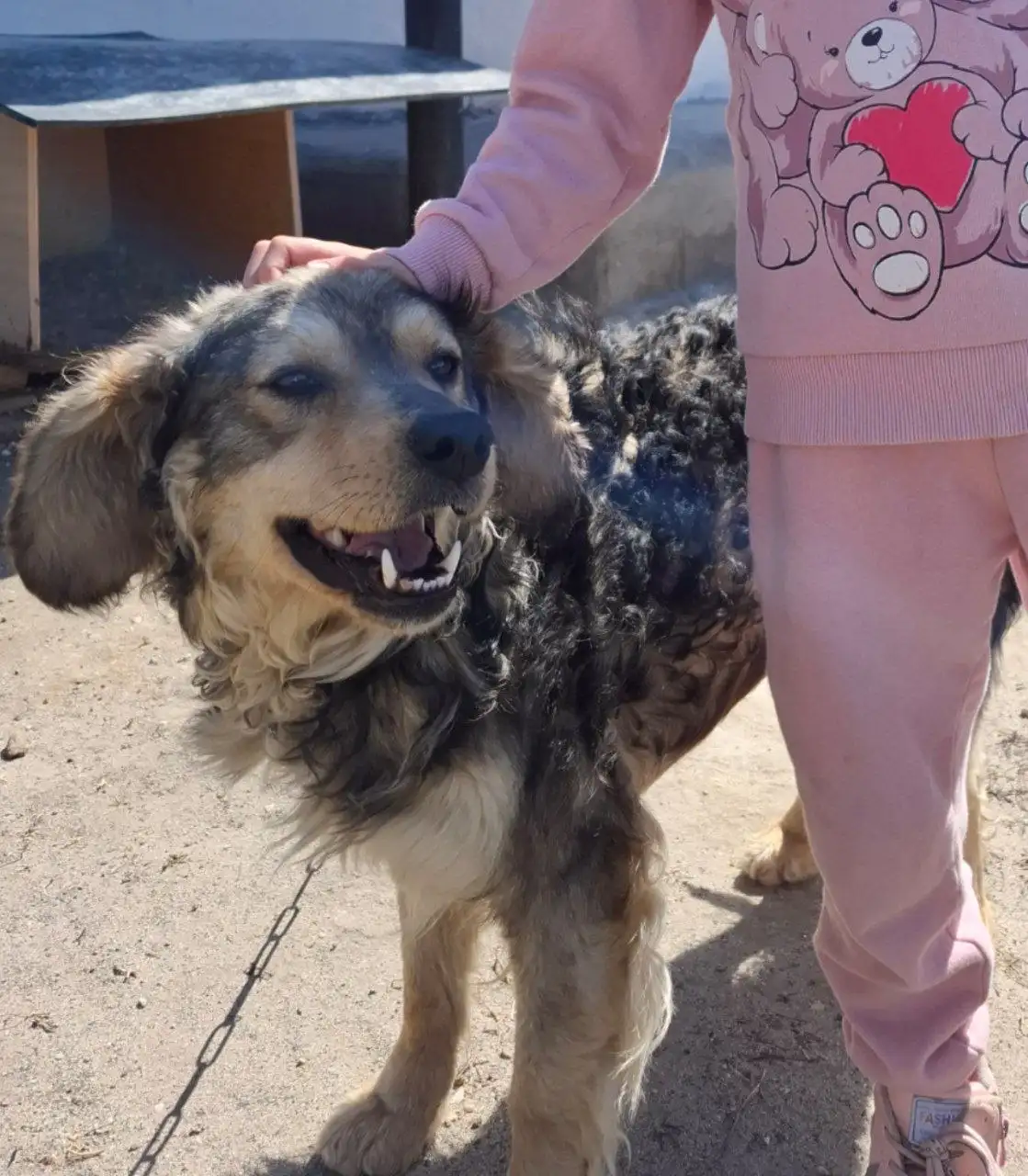 Объявления в Орске и Новотроицке - Барахолка в Орск-Новотроицк