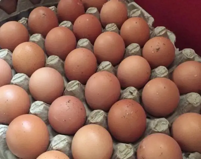 Домашние мелкие яйца - Барахолка в Орск