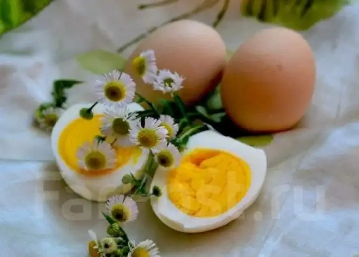 Продажа домашних яиц в Орске - Продукты питания (Барахолка) в Орск