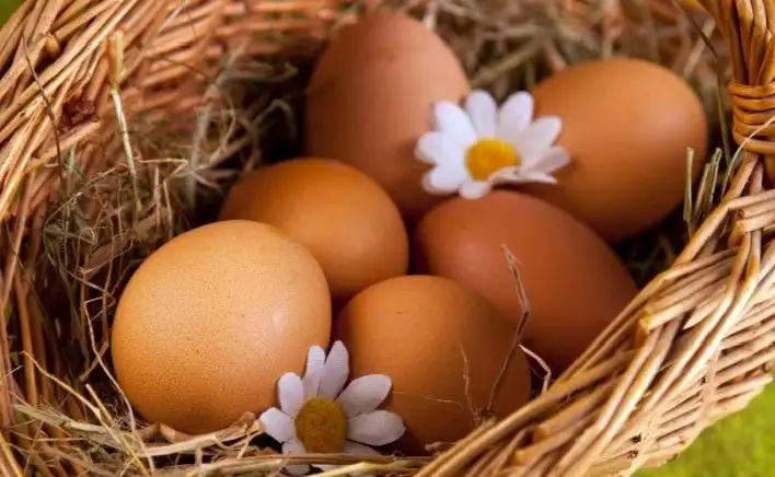 Продажа домашних яиц в Орске - Барахолка в Орск