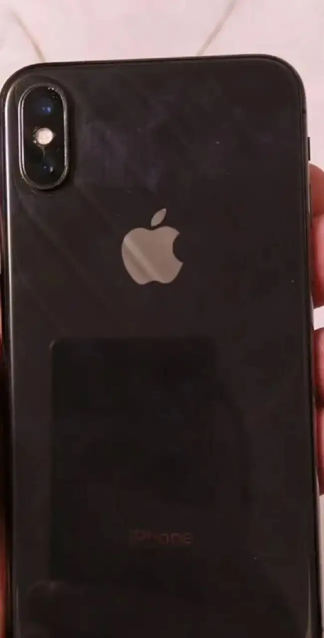 Собака 6 месяцев в добрые руки - Собаки (Животные) в Орск