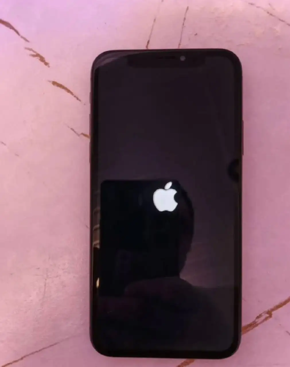 Собака 6 месяцев в добрые руки - Собаки (Животные) в Орск