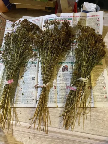 Продажа сухого зверобоя пучками - Красота и здоровье в Кемерово