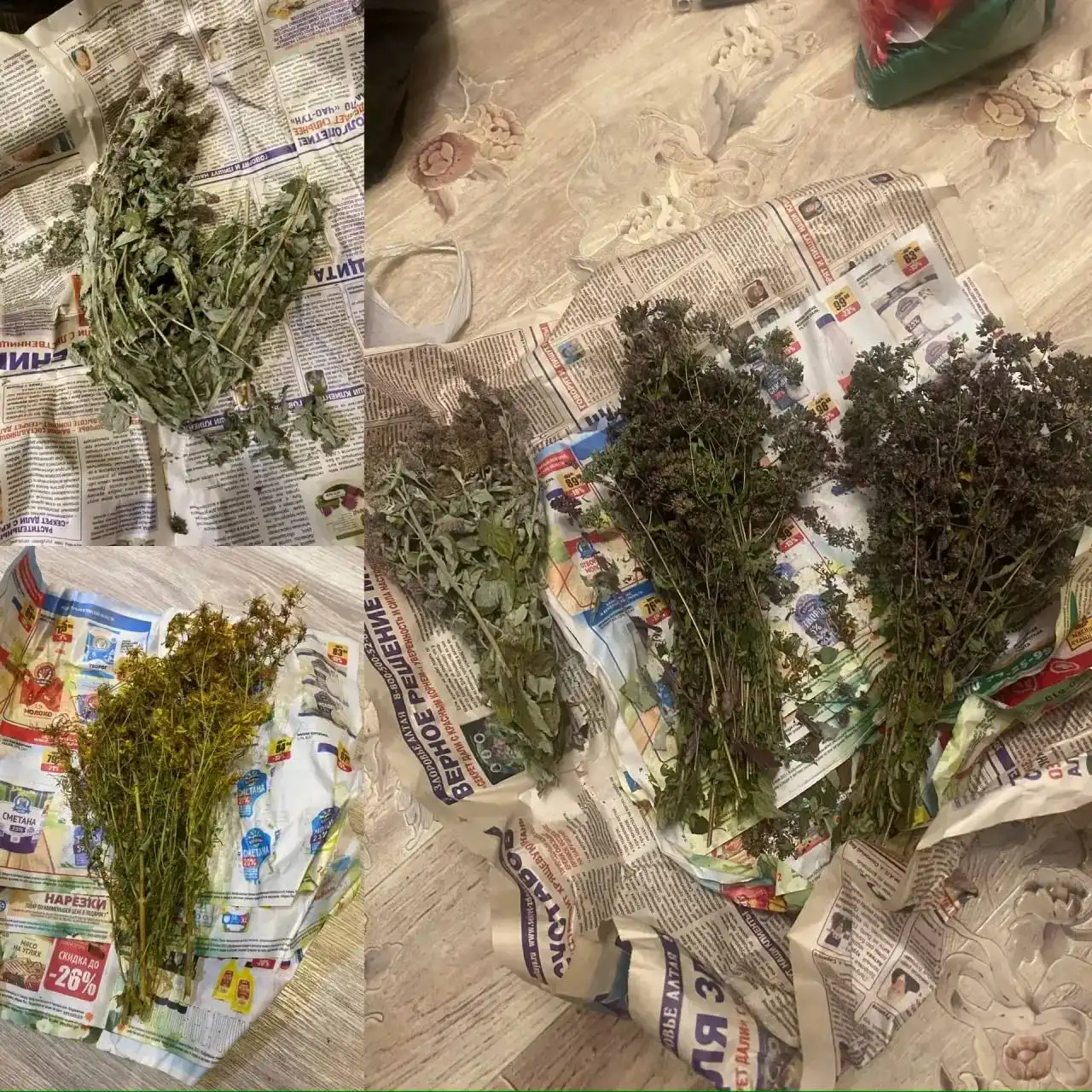 Продажа душицы, зверобоя и мяты в Кемерово - Растения (Хобби и отдых) в Кемерово