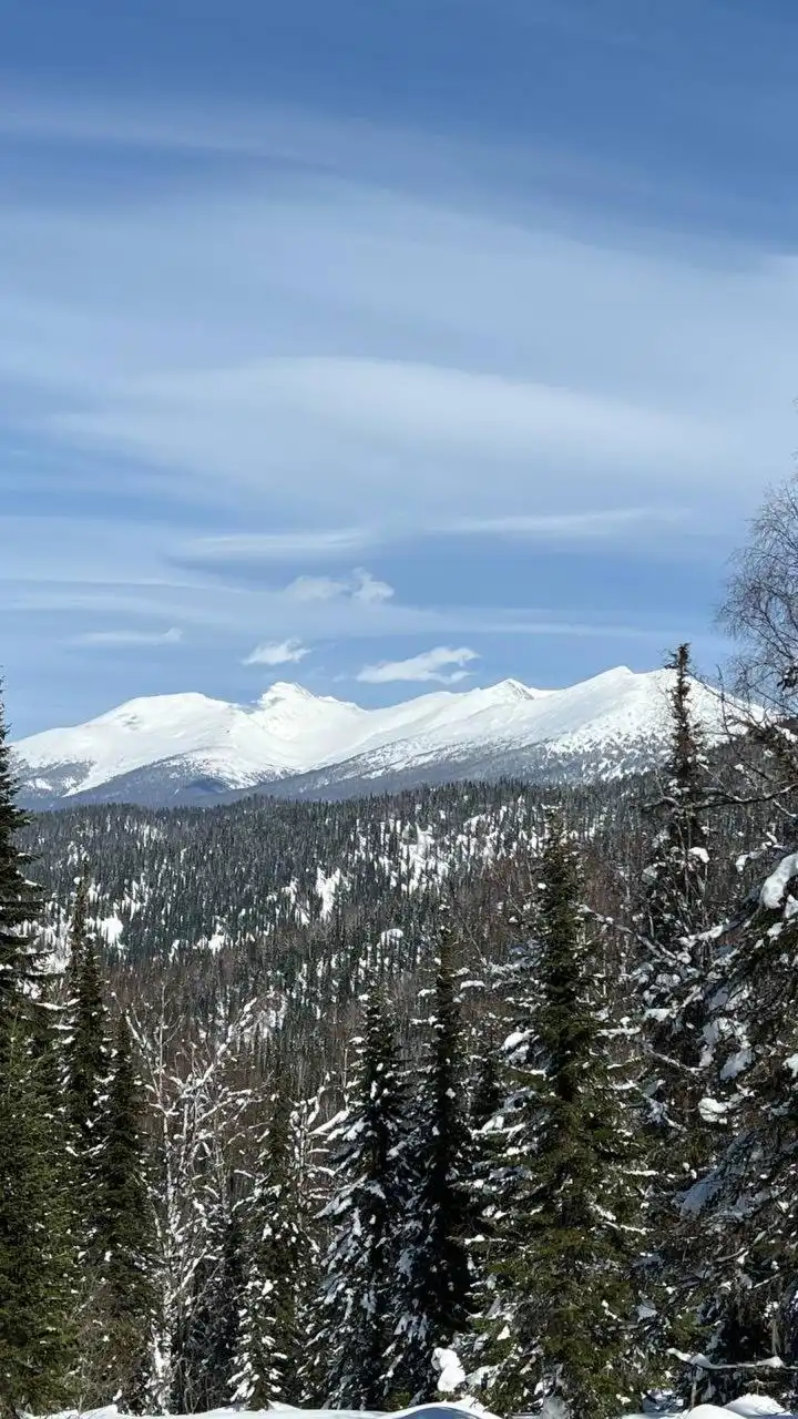 Тур в горы Алатау с полным детоксом - Туризм (Услуги) в Кемерово