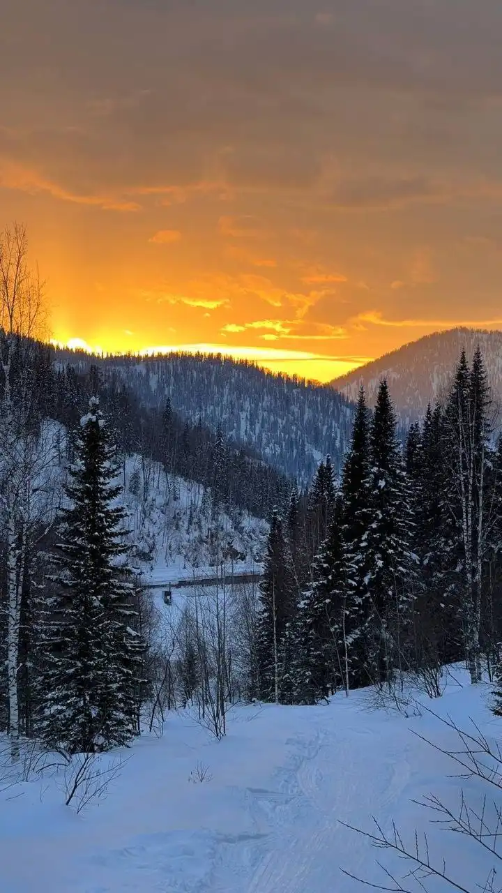 Тур в горы Алатау с полным детоксом - Туризм (Услуги) в Кемерово